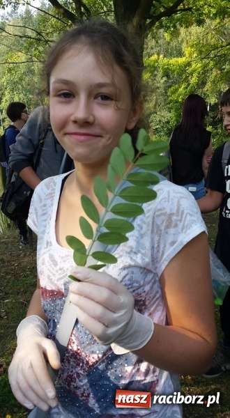 Zdjęcie w galerii na portalu naszraciborz.pl: Gimnazjum nr 5 sprzątało świat wiadomości z regionu