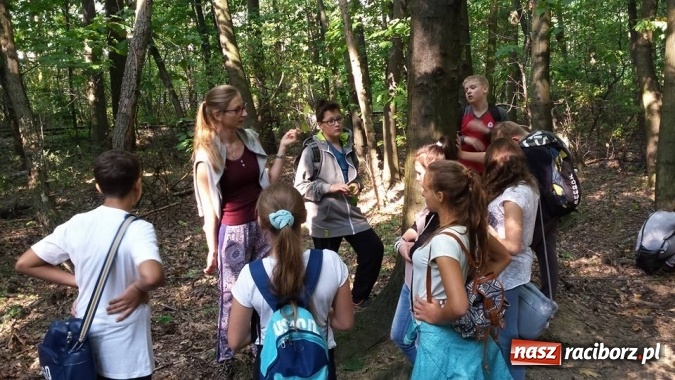 Zdjęcie w galerii na portalu naszraciborz.pl: Gimnazjum nr 5 sprzątało świat wiadomości z regionu