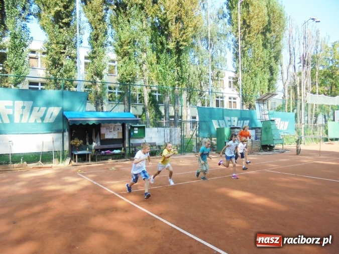 Zdjęcie w galerii na portalu naszraciborz.pl: Tenis po wakacjach dla najmłodszych  wiadomości z regionu