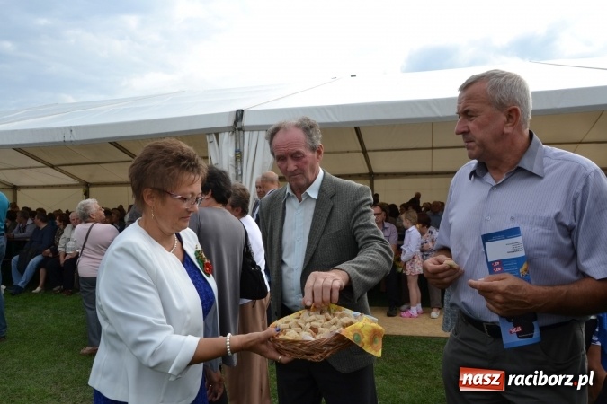 Zdjęcie w galerii na portalu naszraciborz.pl: Dożynki 2016. Gminne Święto Plonów w Zabełkowie  wiadomości z regionu