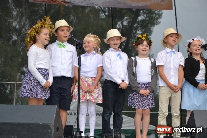 Zdjęcie w galerii na portalu naszraciborz.pl: Dożynki 2016. Gminne Święto Plonów w Zabełkowie  wiadomości z regionu