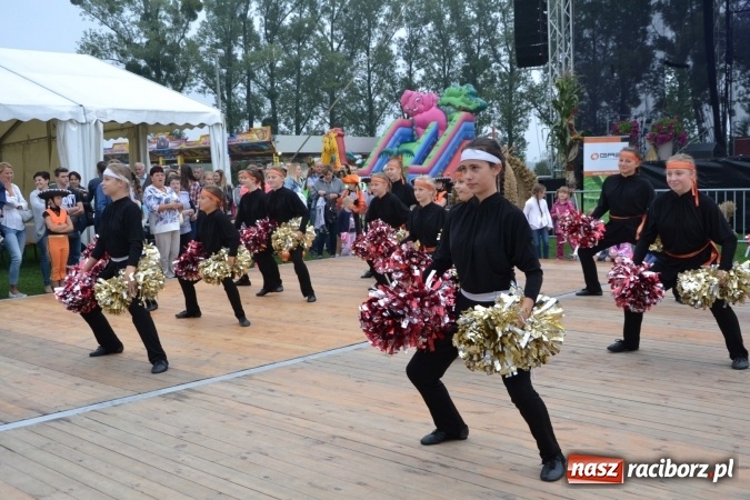 Zdjęcie w galerii na portalu naszraciborz.pl: Dożynki 2016. Gminne Święto Plonów w Zabełkowie  wiadomości z regionu