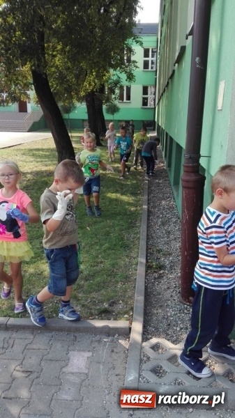 Zdjęcie w galerii na portalu naszraciborz.pl: Akcja Sprzątanie świata w Szkole Podstawowej nr 13  wiadomości z regionu