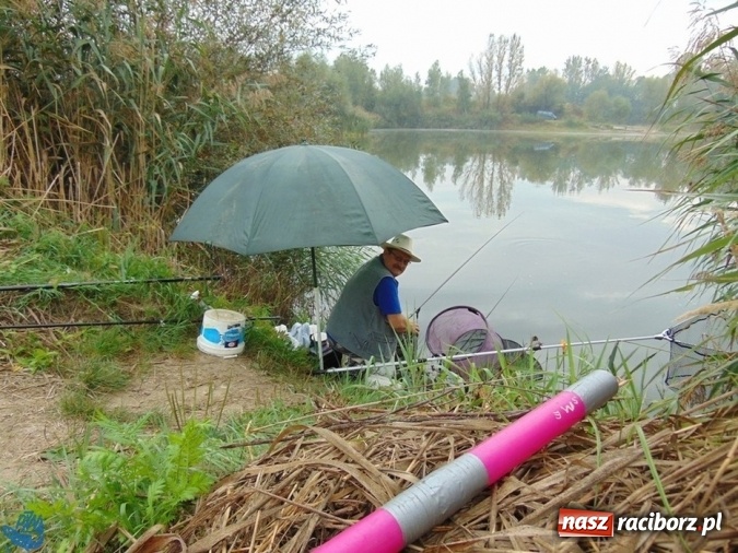Zdjęcie w galerii na portalu naszraciborz.pl: Na łowisku nr 635 Ostróg odbyły się zawody w dyscyplinie spławikowej Weterani 55+ wiadomości z regionu