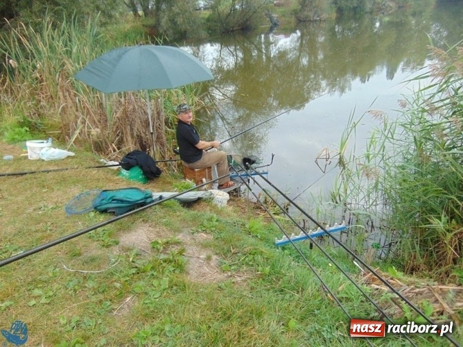 Zdjęcie w galerii na portalu naszraciborz.pl: Na łowisku nr 635 Ostróg odbyły się zawody w dyscyplinie spławikowej Weterani 55+ wiadomości z regionu