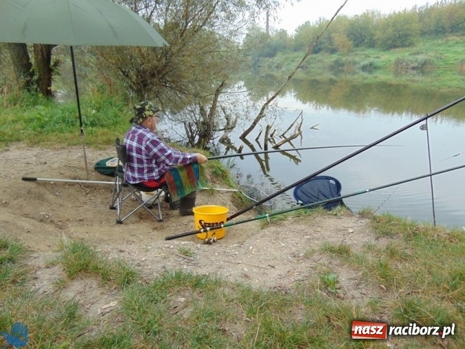 Zdjęcie w galerii na portalu naszraciborz.pl: Na łowisku nr 635 Ostróg odbyły się zawody w dyscyplinie spławikowej Weterani 55+ wiadomości z regionu