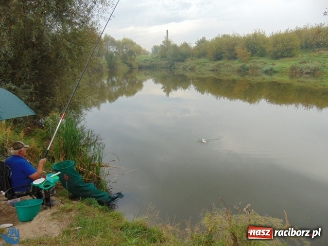 Zdjęcie w galerii na portalu naszraciborz.pl: Na łowisku nr 635 Ostróg odbyły się zawody w dyscyplinie spławikowej Weterani 55+ wiadomości z regionu