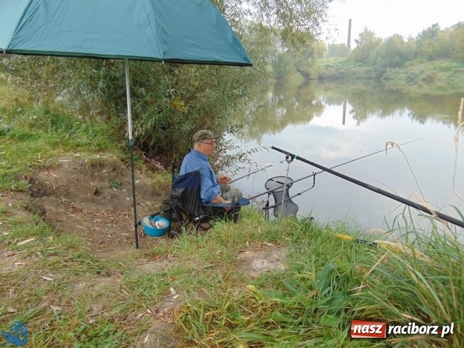 Zdjęcie w galerii na portalu naszraciborz.pl: Na łowisku nr 635 Ostróg odbyły się zawody w dyscyplinie spławikowej Weterani 55+ wiadomości z regionu