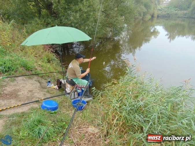 Zdjęcie w galerii na portalu naszraciborz.pl: Na łowisku nr 635 Ostróg odbyły się zawody w dyscyplinie spławikowej Weterani 55+ wiadomości z regionu
