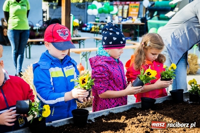 Zdjęcie w galerii na portalu naszraciborz.pl: Ogród – sposób na szalone czasy. Dzień otwarty i warsztaty z Witoldem Czuksanowem w AgroMarkecie wiadomości z regionu