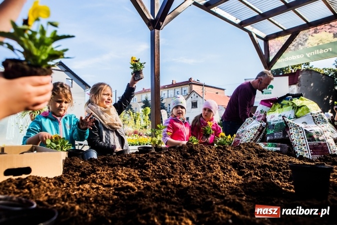 Zdjęcie w galerii na portalu naszraciborz.pl: Ogród – sposób na szalone czasy. Dzień otwarty i warsztaty z Witoldem Czuksanowem w AgroMarkecie wiadomości z regionu