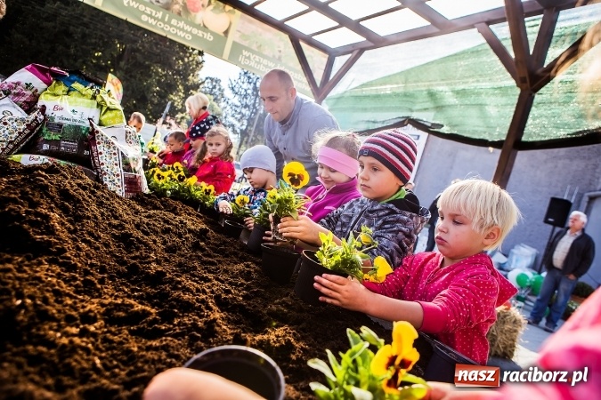 Zdjęcie w galerii na portalu naszraciborz.pl: Ogród – sposób na szalone czasy. Dzień otwarty i warsztaty z Witoldem Czuksanowem w AgroMarkecie wiadomości z regionu