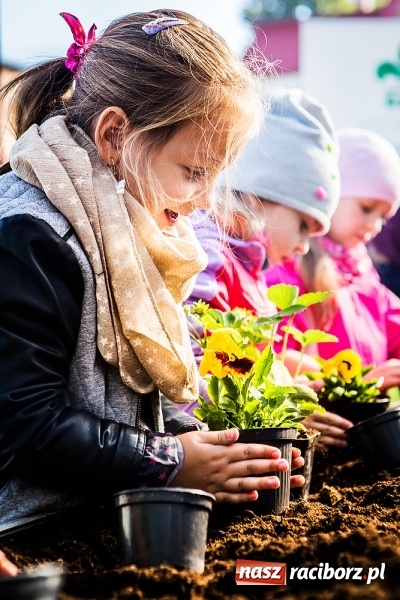 Zdjęcie w galerii na portalu naszraciborz.pl: Ogród – sposób na szalone czasy. Dzień otwarty i warsztaty z Witoldem Czuksanowem w AgroMarkecie wiadomości z regionu