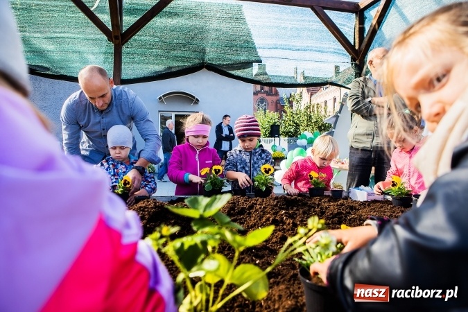 Zdjęcie w galerii na portalu naszraciborz.pl: Ogród – sposób na szalone czasy. Dzień otwarty i warsztaty z Witoldem Czuksanowem w AgroMarkecie wiadomości z regionu