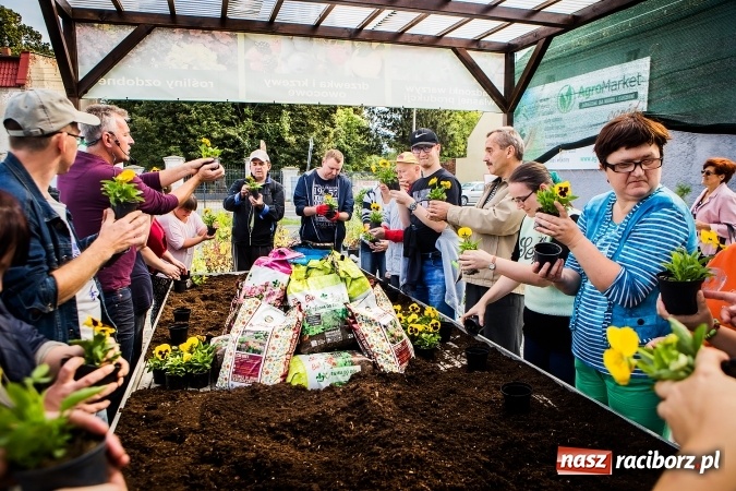 Zdjęcie w galerii na portalu naszraciborz.pl: Ogród – sposób na szalone czasy. Dzień otwarty i warsztaty z Witoldem Czuksanowem w AgroMarkecie wiadomości z regionu