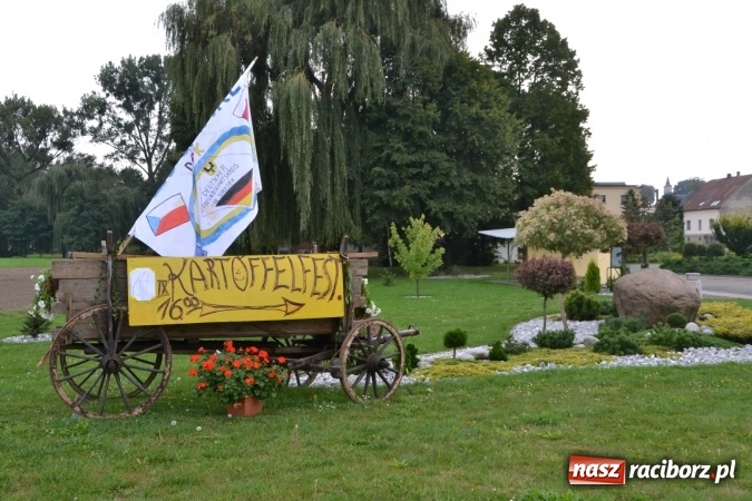 Zdjęcie w galerii na portalu naszraciborz.pl: Kartoffelfest w Bolesławiu, tym razem w morskim klimacie  wiadomości z regionu