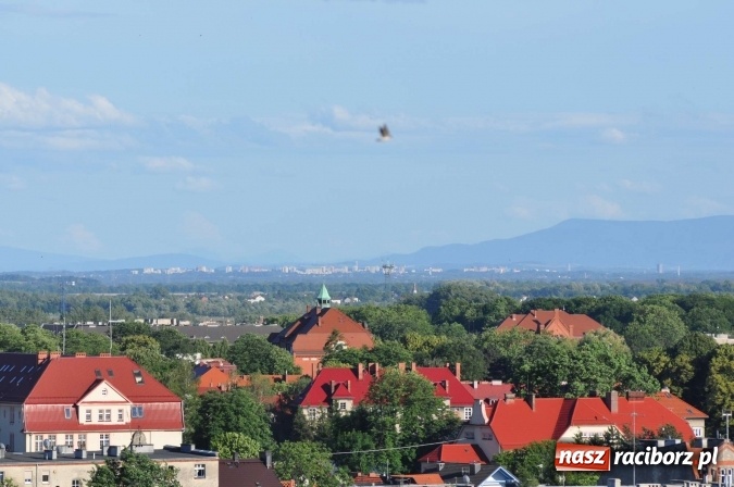 Zdjęcie w galerii na portalu naszraciborz.pl: Nie Brzezie, nie kości&oacute;ł farny, lecz szpital. Zobacz, jak może wyglądać platforma widokowa przy Gamowskiej i co z tego miejsca widać wiadomości z regionu
