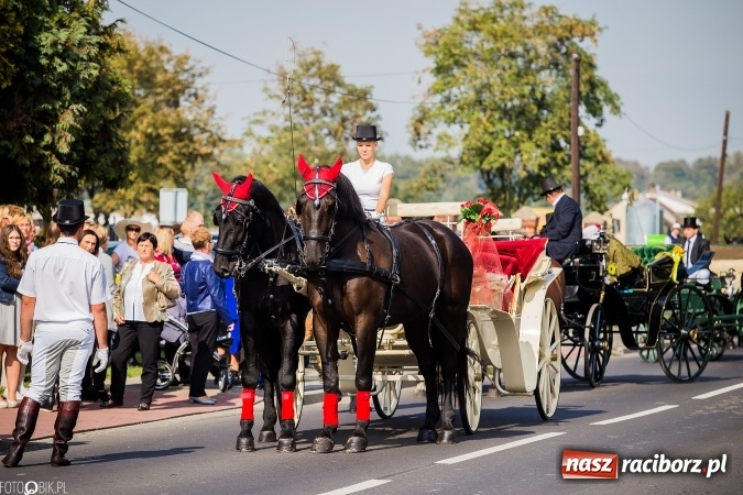 Zdjęcie w galerii na portalu naszraciborz.pl: Dożynki 2016. Studzienna gospodarzem miejskich obchodów święta plonów wiadomości z regionu
