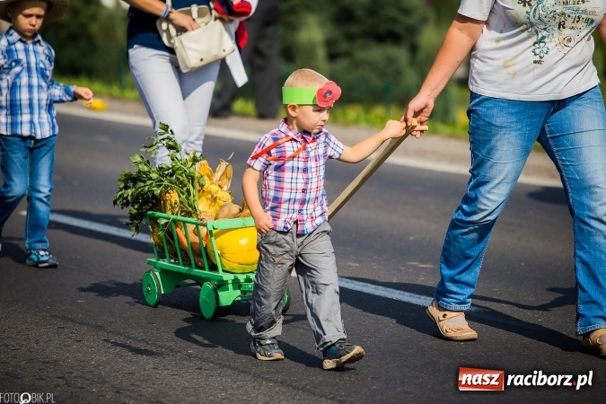 Zdjęcie w galerii na portalu naszraciborz.pl: Dożynki 2016. Studzienna gospodarzem miejskich obchodów święta plonów wiadomości z regionu