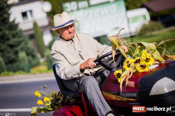 Zdjęcie w galerii na portalu naszraciborz.pl: Dożynki 2016. Studzienna gospodarzem miejskich obchodów święta plonów wiadomości z regionu