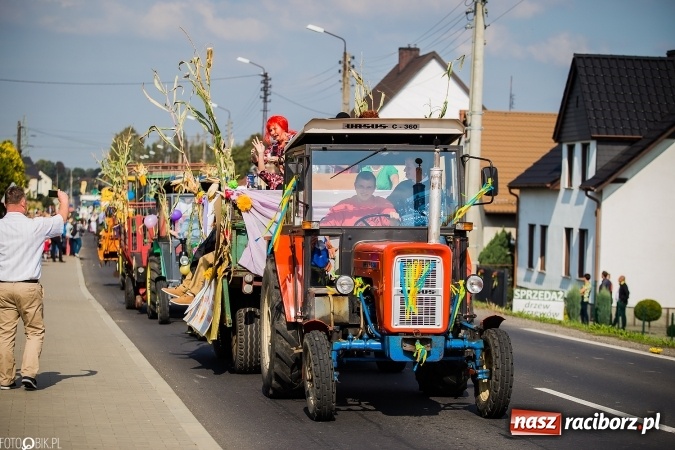 Zdjęcie w galerii na portalu naszraciborz.pl: Dożynki 2016. Studzienna gospodarzem miejskich obchodów święta plonów wiadomości z regionu