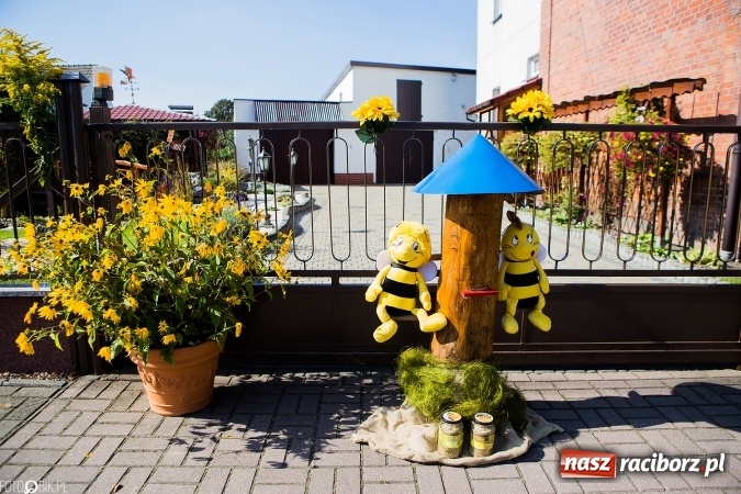 Zdjęcie w galerii na portalu naszraciborz.pl: Dożynki 2016. Studzienna gospodarzem miejskich obchodów święta plonów wiadomości z regionu