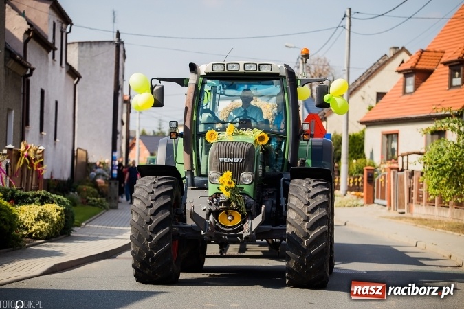 Zdjęcie w galerii na portalu naszraciborz.pl: Dożynki 2016. Studzienna gospodarzem miejskich obchodów święta plonów wiadomości z regionu