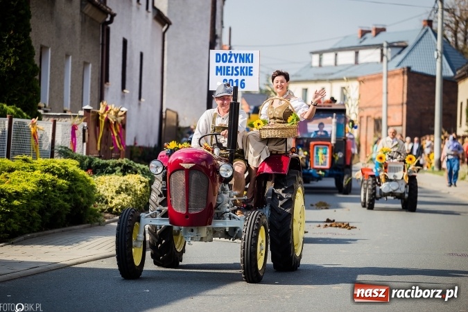 Zdjęcie w galerii na portalu naszraciborz.pl: Dożynki 2016. Studzienna gospodarzem miejskich obchodów święta plonów wiadomości z regionu