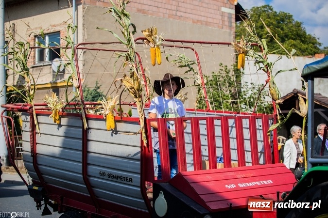 Zdjęcie w galerii na portalu naszraciborz.pl: Dożynki 2016. Studzienna gospodarzem miejskich obchodów święta plonów wiadomości z regionu