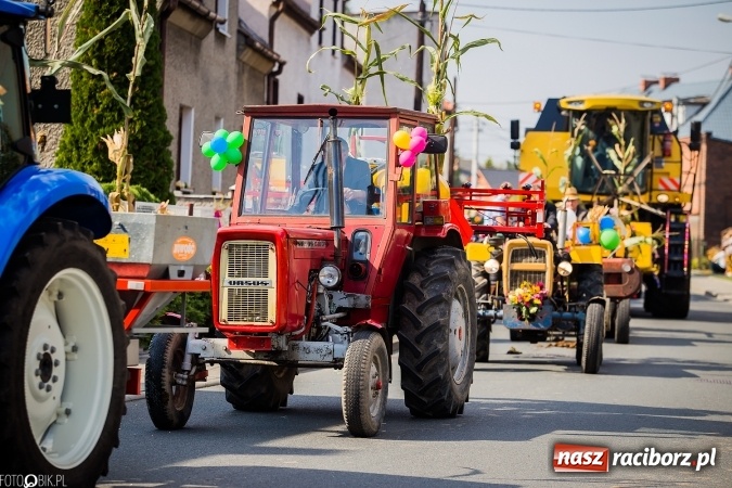 Zdjęcie w galerii na portalu naszraciborz.pl: Dożynki 2016. Studzienna gospodarzem miejskich obchodów święta plonów wiadomości z regionu