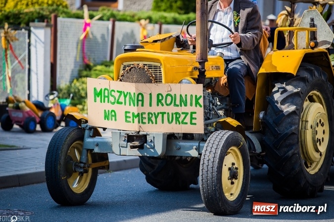 Zdjęcie w galerii na portalu naszraciborz.pl: Dożynki 2016. Studzienna gospodarzem miejskich obchodów święta plonów wiadomości z regionu