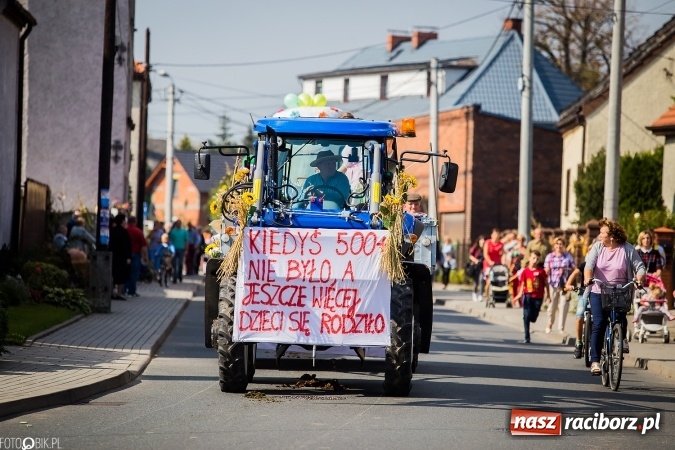 Zdjęcie w galerii na portalu naszraciborz.pl: Dożynki 2016. Studzienna gospodarzem miejskich obchodów święta plonów wiadomości z regionu