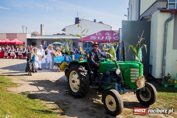 Zdjęcie w galerii na portalu naszraciborz.pl: Dożynki 2016. Studzienna gospodarzem miejskich obchodów święta plonów wiadomości z regionu