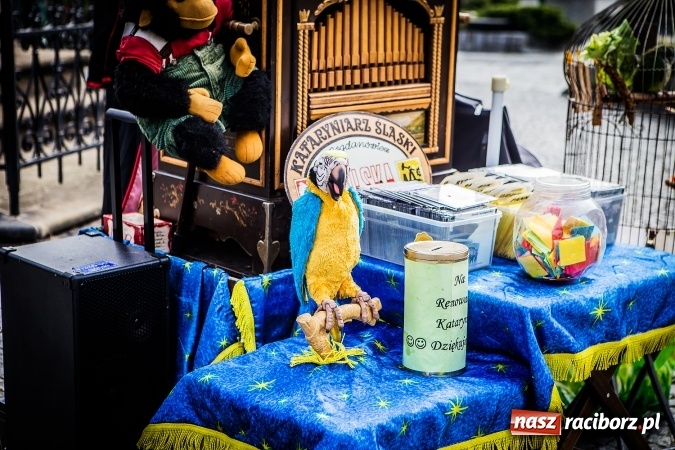 Zdjęcie w galerii na portalu naszraciborz.pl: Ostatni Wróżący Śląski Kataryniarz dziś w Raciborzu wiadomości z regionu