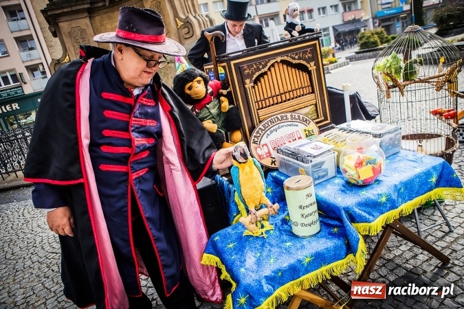 Zdjęcie w galerii na portalu naszraciborz.pl: Ostatni Wróżący Śląski Kataryniarz dziś w Raciborzu wiadomości z regionu