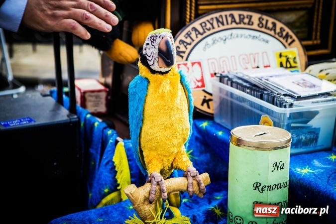 Zdjęcie w galerii na portalu naszraciborz.pl: Ostatni Wróżący Śląski Kataryniarz dziś w Raciborzu wiadomości z regionu