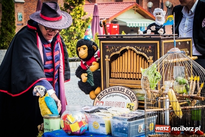 Zdjęcie w galerii na portalu naszraciborz.pl: Ostatni Wróżący Śląski Kataryniarz dziś w Raciborzu wiadomości z regionu