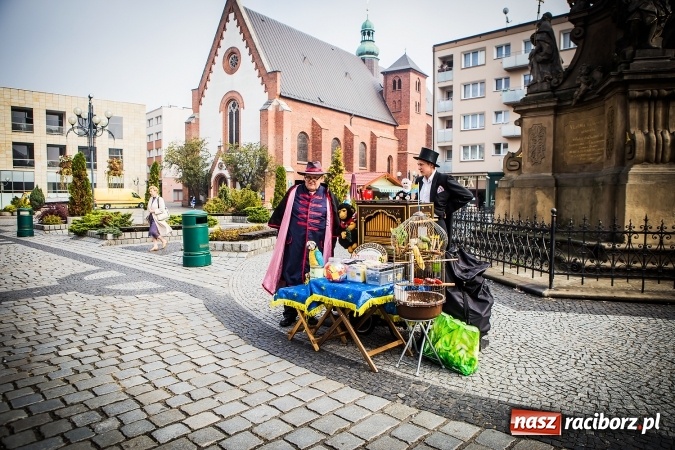 Zdjęcie w galerii na portalu naszraciborz.pl: Ostatni Wróżący Śląski Kataryniarz dziś w Raciborzu wiadomości z regionu