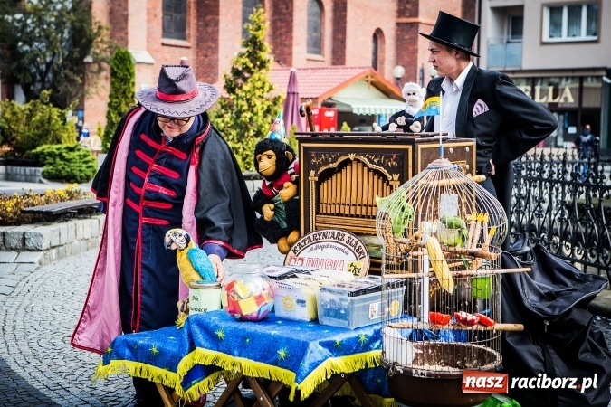 Zdjęcie w galerii na portalu naszraciborz.pl: Ostatni Wróżący Śląski Kataryniarz dziś w Raciborzu wiadomości z regionu