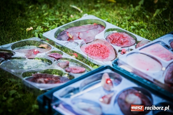 Zdjęcie w galerii na portalu naszraciborz.pl: Pokaz Grupy Interwencyjnej Służby Więziennej w czasie seminarium edukacyjnego wiadomości z regionu