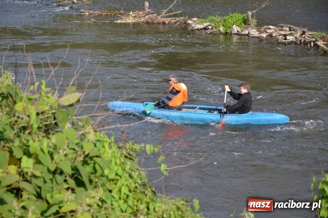 Zdjęcie w galerii na portalu naszraciborz.pl: Wodniacy zamknęli Meandry Odry wiadomości z regionu