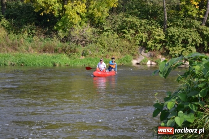 Zdjęcie w galerii na portalu naszraciborz.pl: Wodniacy zamknęli Meandry Odry wiadomości z regionu