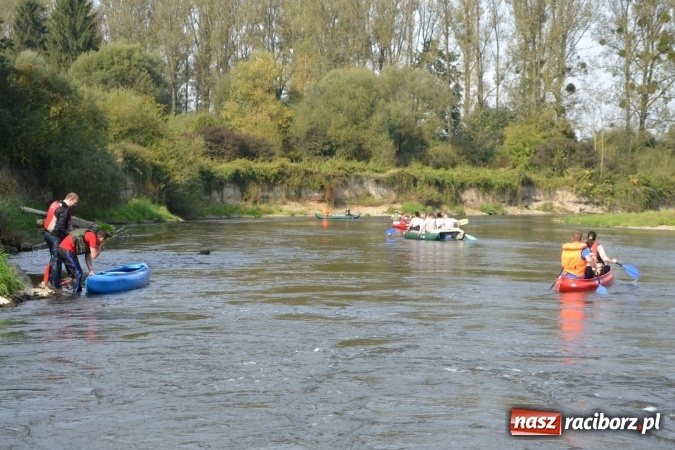 Zdjęcie w galerii na portalu naszraciborz.pl: Wodniacy zamknęli Meandry Odry wiadomości z regionu