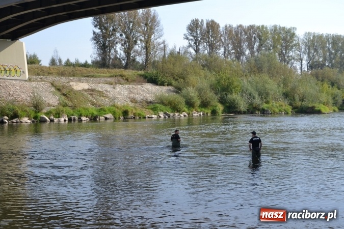 Zdjęcie w galerii na portalu naszraciborz.pl: Wodniacy zamknęli Meandry Odry wiadomości z regionu