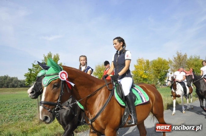 Zdjęcie w galerii na portalu naszraciborz.pl: Hubertus na Ostrogu, czyli pogoń za lisem w Huzarskiej Dolinie  wiadomości z regionu