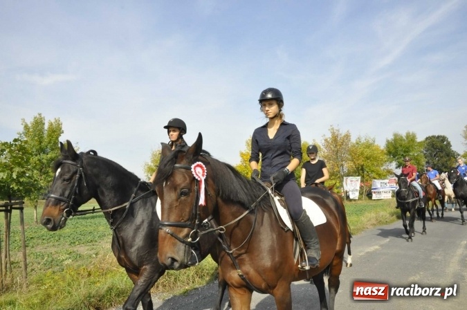 Zdjęcie w galerii na portalu naszraciborz.pl: Hubertus na Ostrogu, czyli pogoń za lisem w Huzarskiej Dolinie  wiadomości z regionu