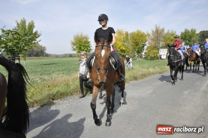 Zdjęcie w galerii na portalu naszraciborz.pl: Hubertus na Ostrogu, czyli pogoń za lisem w Huzarskiej Dolinie  wiadomości z regionu