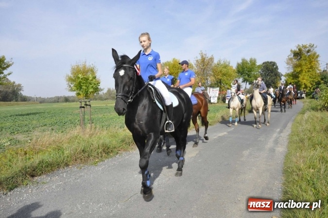 Zdjęcie w galerii na portalu naszraciborz.pl: Hubertus na Ostrogu, czyli pogoń za lisem w Huzarskiej Dolinie  wiadomości z regionu