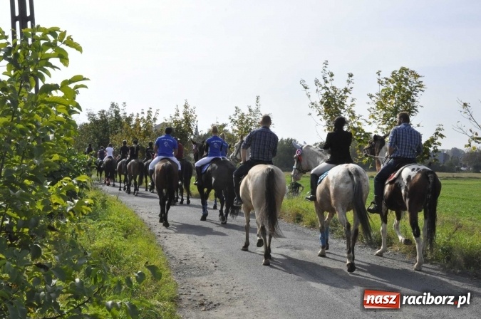 Zdjęcie w galerii na portalu naszraciborz.pl: Hubertus na Ostrogu, czyli pogoń za lisem w Huzarskiej Dolinie  wiadomości z regionu