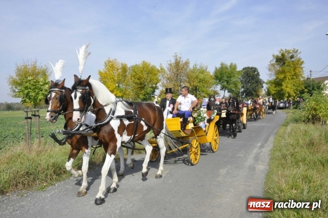 Zdjęcie w galerii na portalu naszraciborz.pl: Hubertus na Ostrogu, czyli pogoń za lisem w Huzarskiej Dolinie  wiadomości z regionu
